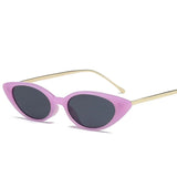 Ladies Cat Eye Sunglasses Women Novelty Designer Fashion Small Frame Sun Glasses for Female Trend Glasees UV400