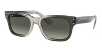 Ray Ban Sunglasses Ray Ban RB2283 Mr Burbank 134071 581478