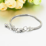 Style Silver\Gold Color Charm Bracelets Adjustable Snake Chain Bracelets for Women Lobster