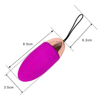 Clitoris Vagina Stimulator for Women Waterproof 10 Speed Vibrator Vibrating Egg G-spot Massage