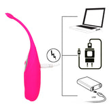 Vibrator Kegel Ball Vibrating Egg Remote Control Clitoris Stimulator Masturbation for Women G-spot