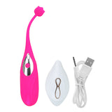 Vibrator Kegel Ball Vibrating Egg Remote Control Clitoris Stimulator Masturbation for Women G-spot