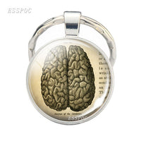 Brain Shell Keychain Brain Jewelry Medical Brain Picture Glass Cabochon Keychain Gift for Doctors and Nurses Medical Students