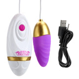 Exerciser Kegel balls Remote Control Egg Vibrator Clitoris Stimulation Vibrating Egg Multispeed for Women