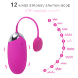 Multispeed Vibrator APP Bluetooth USB Rechargeable Silicone Wireless Remote control for women