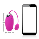 Multispeed Vibrator APP Bluetooth USB Rechargeable Silicone Wireless Remote control for women