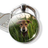 Lovely Dog Keychain Shiba Inu Dog Picture Keychain Glass Cabochon Pendant Metal Ring Keyring Dog Lover Gift Dropshipping