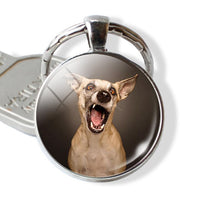 Lovely Dog Keychain Shiba Inu Dog Picture Keychain Glass Cabochon Pendant Metal Ring Keyring Dog Lover Gift Dropshipping