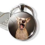 Lovely Dog Keychain Shiba Inu Dog Picture Keychain Glass Cabochon Pendant Metal Ring Keyring Dog Lover Gift Dropshipping