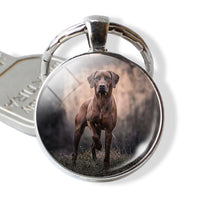 Lovely Dog Keychain Shiba Inu Dog Picture Keychain Glass Cabochon Pendant Metal Ring Keyring Dog Lover Gift Dropshipping