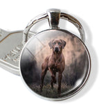 Lovely Dog Keychain Shiba Inu Dog Picture Keychain Glass Cabochon Pendant Metal Ring Keyring Dog Lover Gift Dropshipping