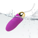 10 Speed Remote Control Vibrating Egg for Women G-Spot Massager Clitoris Stimulator Powerful Bullet Vibrator