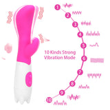 Dual Vibration Clitoris Stimulation Vibrator Masturbation Dildo for Women Vagina Massager