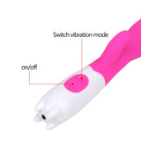 Dual Vibration Clitoris Stimulation Vibrator Masturbation Dildo for Women Vagina Massager