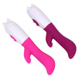 Dual Vibration Clitoris Stimulation Vibrator Masturbation Dildo for Women Vagina Massager