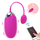 Multispeed Vibrator APP Bluetooth USB Rechargeable Silicone Wireless Remote control for women