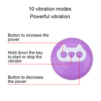 10 Speed Vibrating Egg Vaginal Ball Vibrators Clitoris Stimulator Wireless Remote Control G-Spot Massager for Women