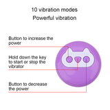 10 Speed Vibrating Egg Vaginal Ball Vibrators Clitoris Stimulator Wireless Remote Control G-Spot Massager for Women