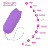 10 Speed Vibrating Egg Vaginal Ball Vibrators Clitoris Stimulator Wireless Remote Control G-Spot Massager for Women