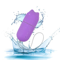 10 Speed Vibrating Egg Vaginal Ball Vibrators Clitoris Stimulator Wireless Remote Control G-Spot Massager for Women