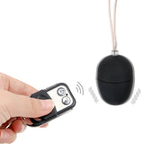 Remote Control Vibrator Vibrating Egg Vagina Clitoris Stimulator 10 Speed Wireless Masturbation for Women
