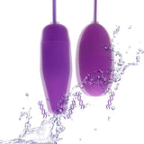 for women Dildo realistic 2 Shapes Vibrating Eggs 12 Frequency USB Vibrators Multispeed