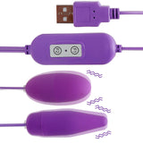 for women Dildo realistic 2 Shapes Vibrating Eggs 12 Frequency USB Vibrators Multispeed