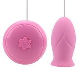 Rotating Brush Vagina Ball G-spot Massager Clitoris Stimulator for Woman 6 Frequencies Jumping Egg Vibrator