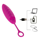 Wireless Remote Control Clitoris Stimulator Vibrating Egg Vagina Ball Vibrator for Women G Spot Massager