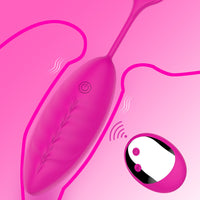 Wireless Remote Control Clitoris Stimulator Vibrating Egg Vagina Ball Vibrator for Women G Spot Massager