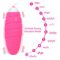 Egg Vibrator Clitoris Stimulator Masturbation G-Spot Massager 10 Speeds Remote Control for Women