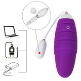 Egg Vibrator Clitoris Stimulator Masturbation G-Spot Massager 10 Speeds Remote Control for Women