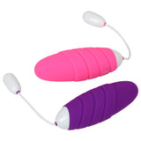 Egg Vibrator Clitoris Stimulator Masturbation G-Spot Massager 10 Speeds Remote Control for Women