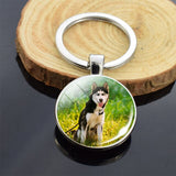 Cute Puppy Dog Photo Keychain Handmade Key Chain for Women Gifts Cool Husky Keychains Keyrings Girls Party Vacation Gifts Rings