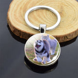 Lovely Husky Photo Keychain Keyrings for Women Partner Couples Friendship Keychains Keyring Party Vacation Birthday Gifts Rings