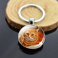 Cute Animals Keychain Anime Cat Double Side Keychains for Women Bag Chains Men Car Key Rings Silver Color Jewllery