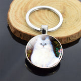 Cute Animals Keychain Anime Cat Double Side Keychains for Women Bag Chains Men Car Key Rings Silver Color Jewllery