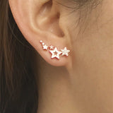 Hot Selling Simple Stylish Star Women Stud Earrings Shiny White Zircon Exquisite Versatile Female Earring Fashion Jewelry