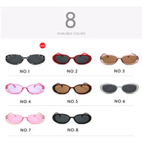 Style Small Oval Sunglasses Women Vintage Retro Round Frame White Black Mens Sun Glasses Leopard Hip Hop Clear Glasses UV400