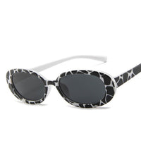 Style Small Oval Sunglasses Women Vintage Retro Round Frame White Black Mens Sun Glasses Leopard Hip Hop Clear Glasses UV400