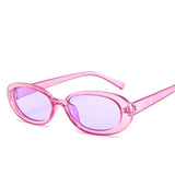 Style Small Oval Sunglasses Women Vintage Retro Round Frame White Black Mens Sun Glasses Leopard Hip Hop Clear Glasses UV400