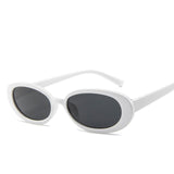 Style Small Oval Sunglasses Women Vintage Retro Round Frame White Black Mens Sun Glasses Leopard Hip Hop Clear Glasses UV400