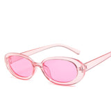 Style Small Oval Sunglasses Women Vintage Retro Round Frame White Black Mens Sun Glasses Leopard Hip Hop Clear Glasses UV400
