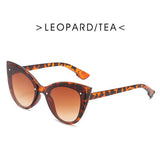 Big Frame Cat Eye Sunglasses for Women Female Trend ins Gradient Sun Glasses Street Shooting Leopard Eyewear