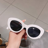 ins Hot Popular Fashion Cat Eye Women Sunglasses Retro Jelly Color Shades UV400 Eyewear Men Green Pink Purple Sun Glasses