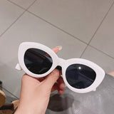 ins Hot Popular Fashion Cat Eye Women Sunglasses Retro Jelly Color Shades UV400 Eyewear Men Green Pink Purple Sun Glasses