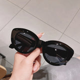 ins Hot Popular Fashion Cat Eye Women Sunglasses Retro Jelly Color Shades UV400 Eyewear Men Green Pink Purple Sun Glasses