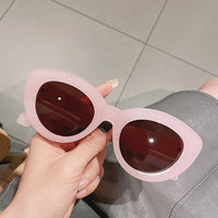 ins Hot Popular Fashion Cat Eye Women Sunglasses Retro Jelly Color Shades UV400 Eyewear Men Green Pink Purple Sun Glasses