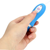 Flashing Vibrator Vibrating Egg G-spot Massage Clitoris Stimulator Blue/Pink for Women Masturbator