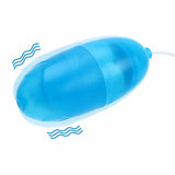 Flashing Vibrator Vibrating Egg G-spot Massage Clitoris Stimulator Blue/Pink for Women Masturbator